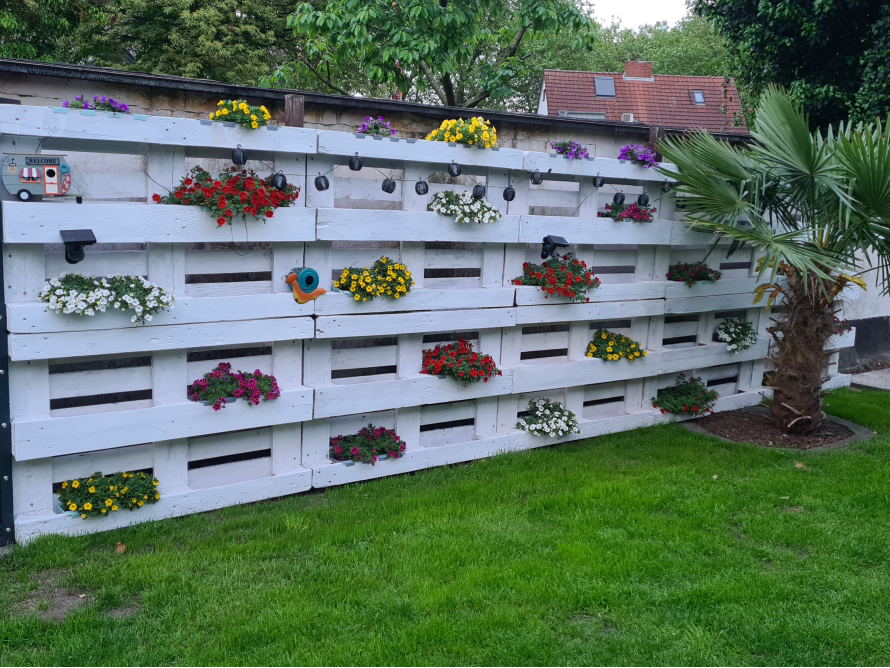 Blumenwand aus weißen Paletten
