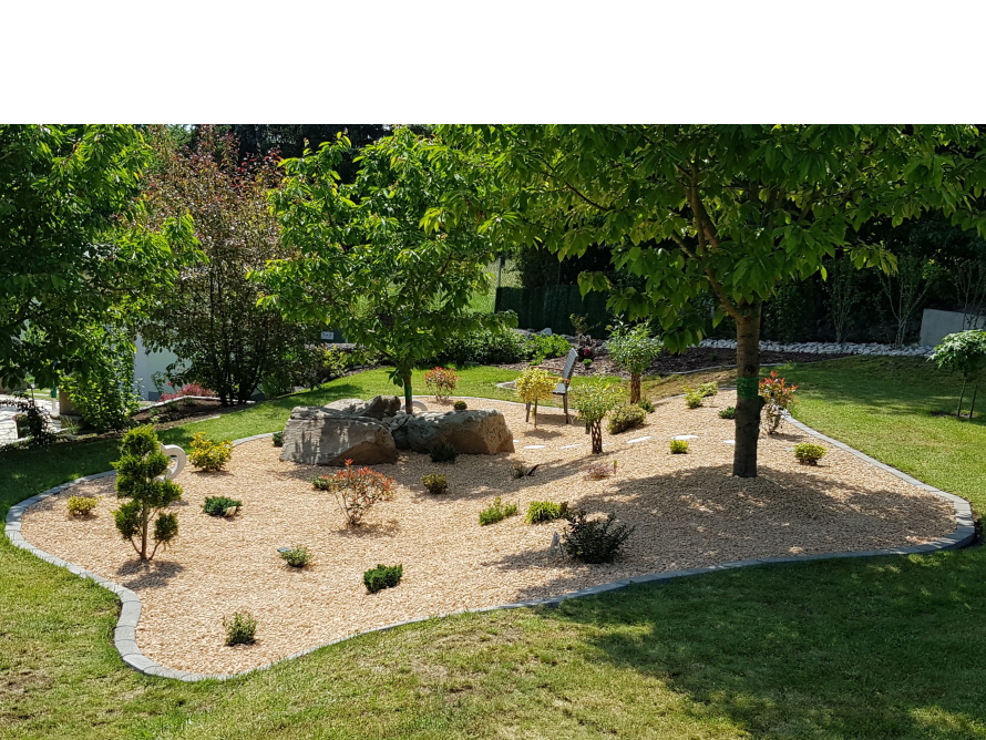 Steingarten mit Kies und jungen Bäumen