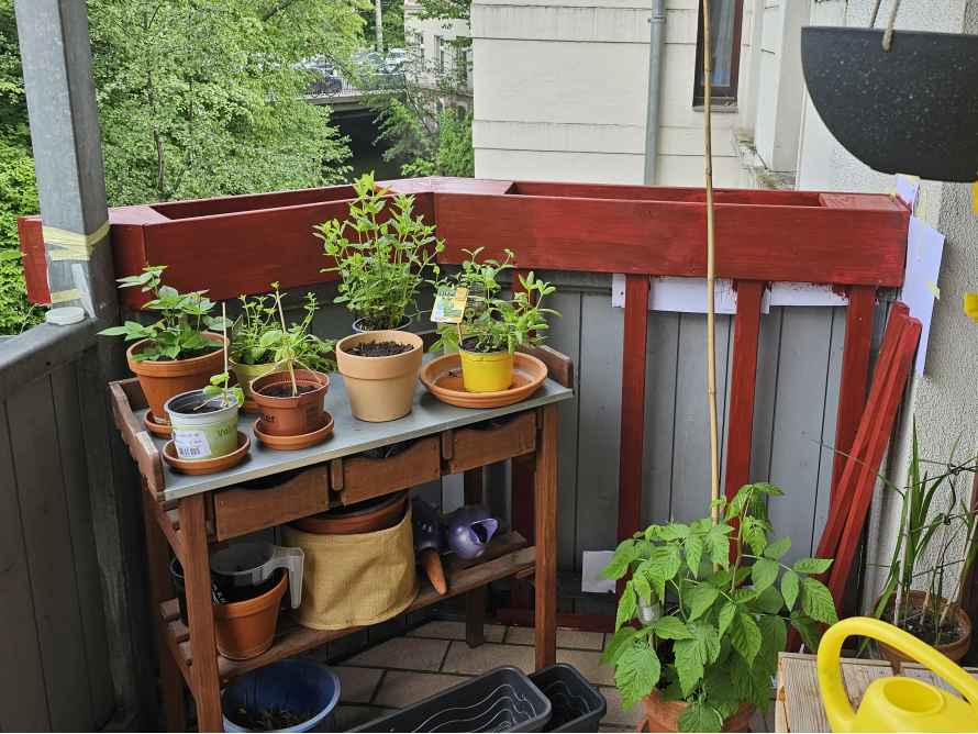 Kräuter auf einem Balkon
