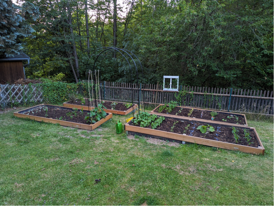 Gartenbeete mit verschiedenen Pflanzen