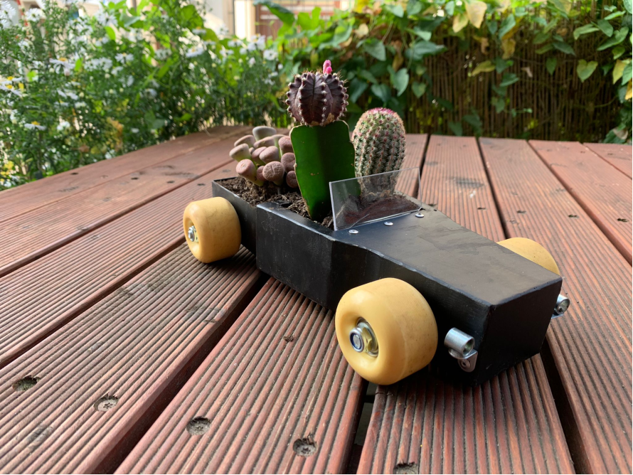 Ein kleines Auto aus Holz mit Sukkulenten bepflanzt.