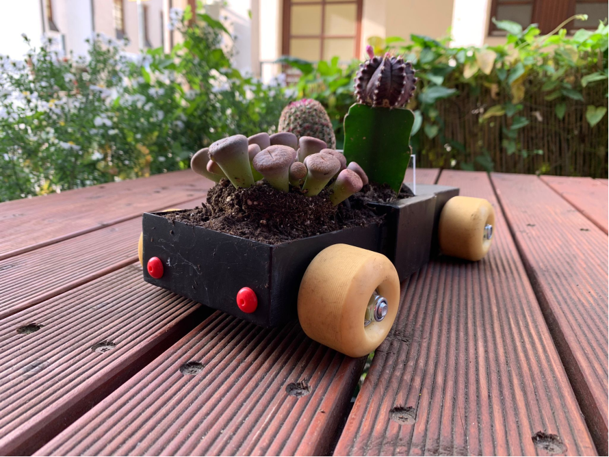 Sukkulenten in einem Miniaturauto-Übertopf