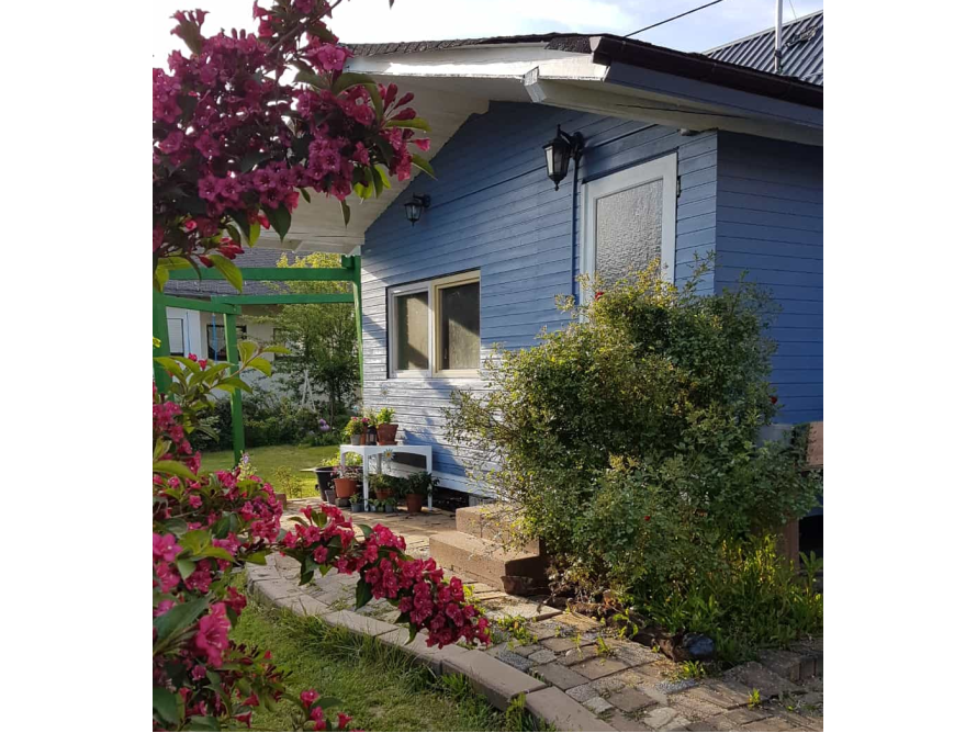 Blaues Gartenhaus mit Garten