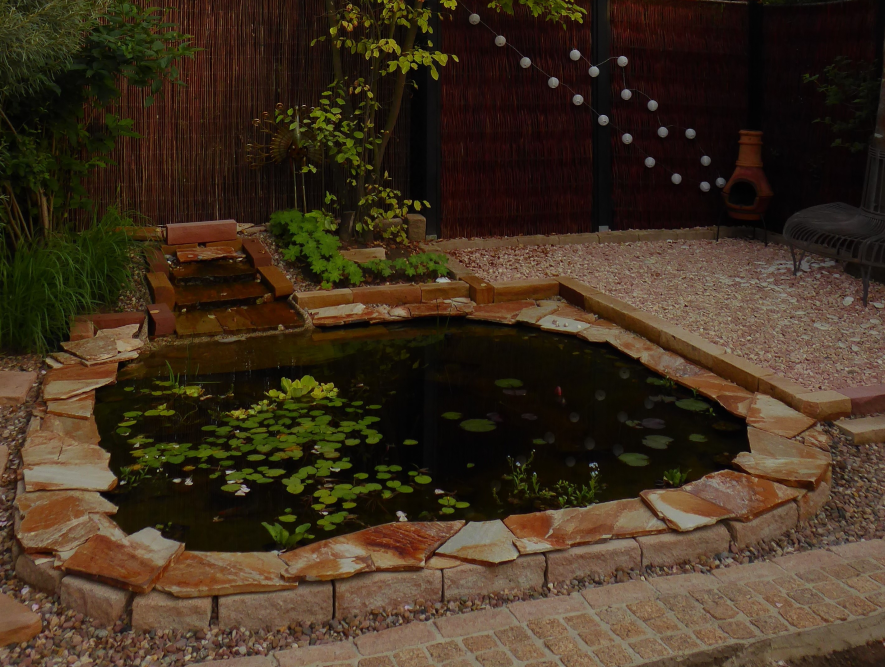 Gartenteich mit Seerosen