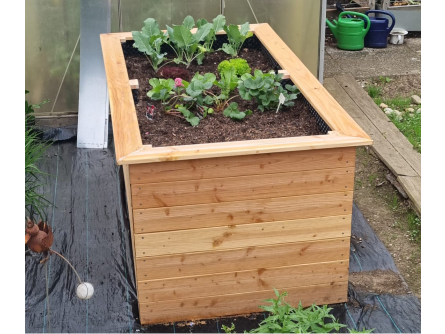 Holzbeet mit jungen Pflanzen