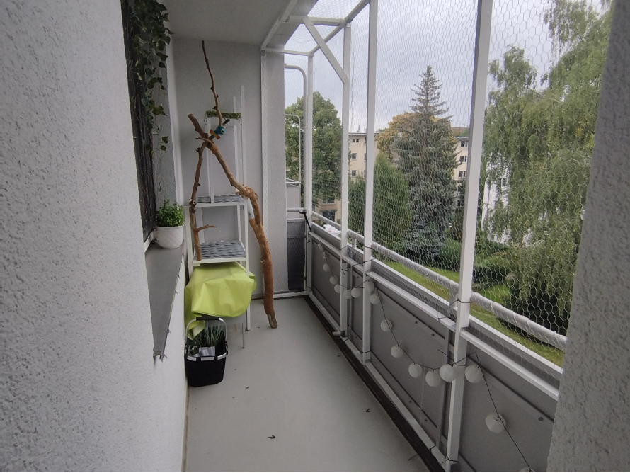 Ein schmaler Balkon mit Katzennetz und Pflanzen.