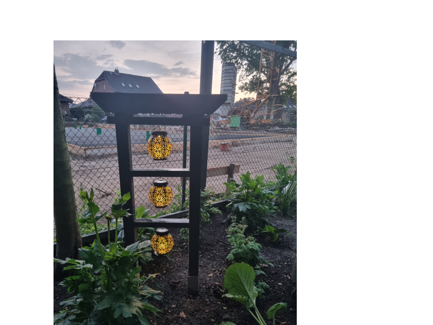 Drei Solarlaternen in einem Garten