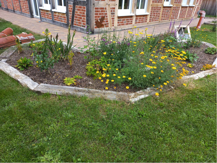 Blumenbeet vor Fachwerkhaus