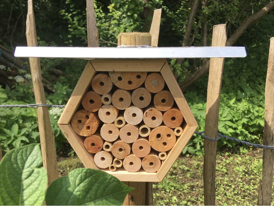 Insektenhotel aus Holz