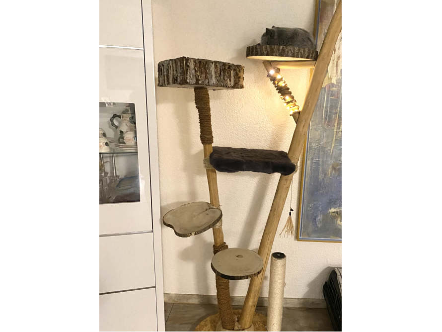 Ein großer Katzenbaum aus Holz mit einer Katze darauf.