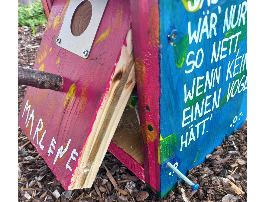 Buntes Vogelhaus mit offener Klappe