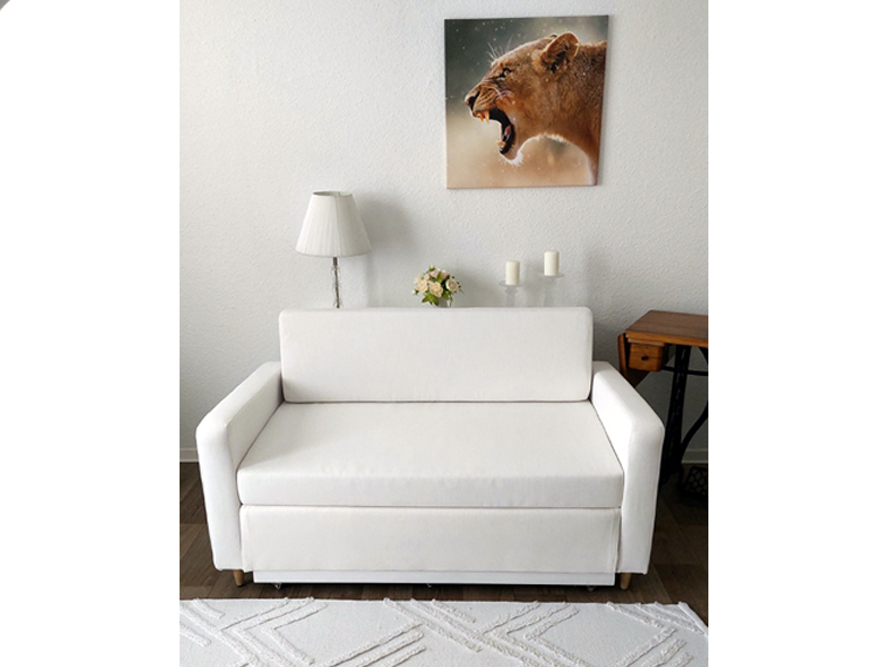 Weißes Schlafsofa in einem Zimmer