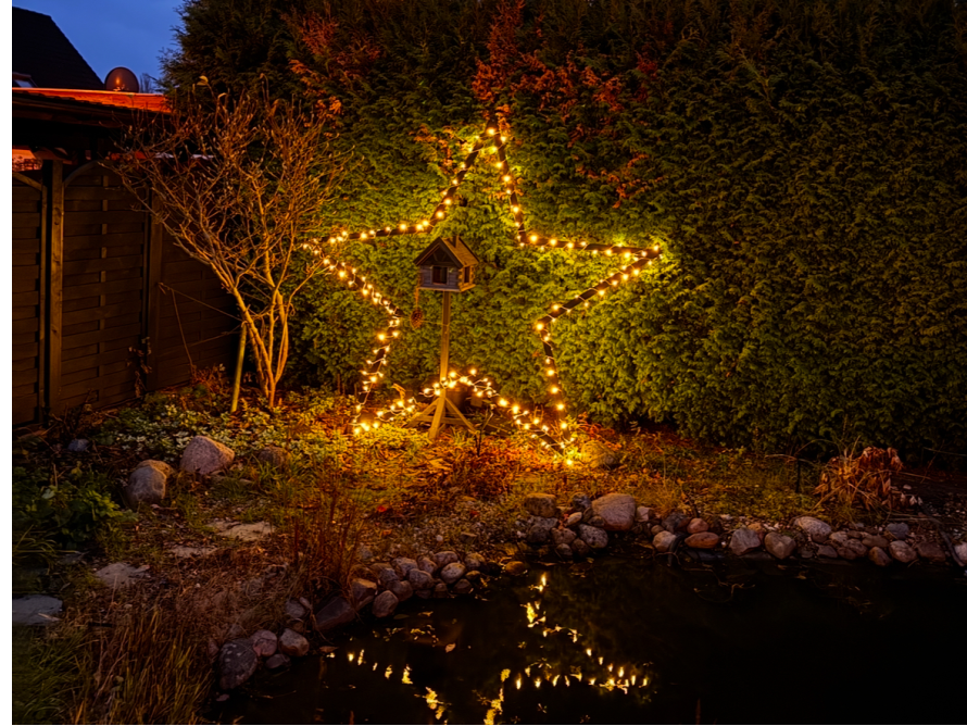 Weihnachtsstern