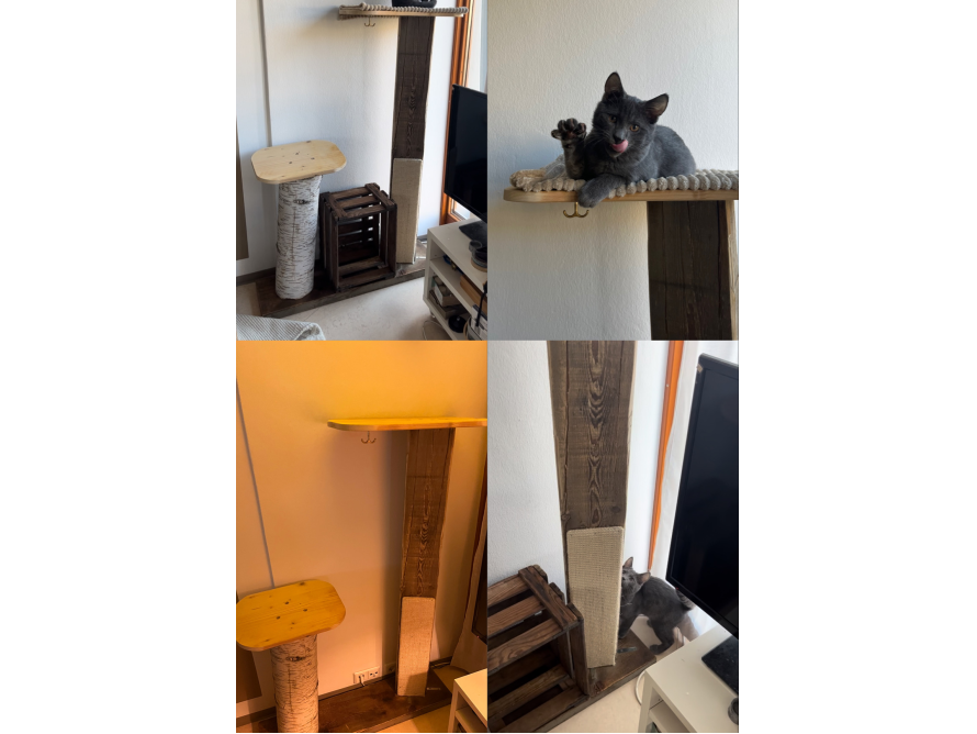 Ein selbstgebauter Kratzbaum aus Holz mit einer Katze darauf.