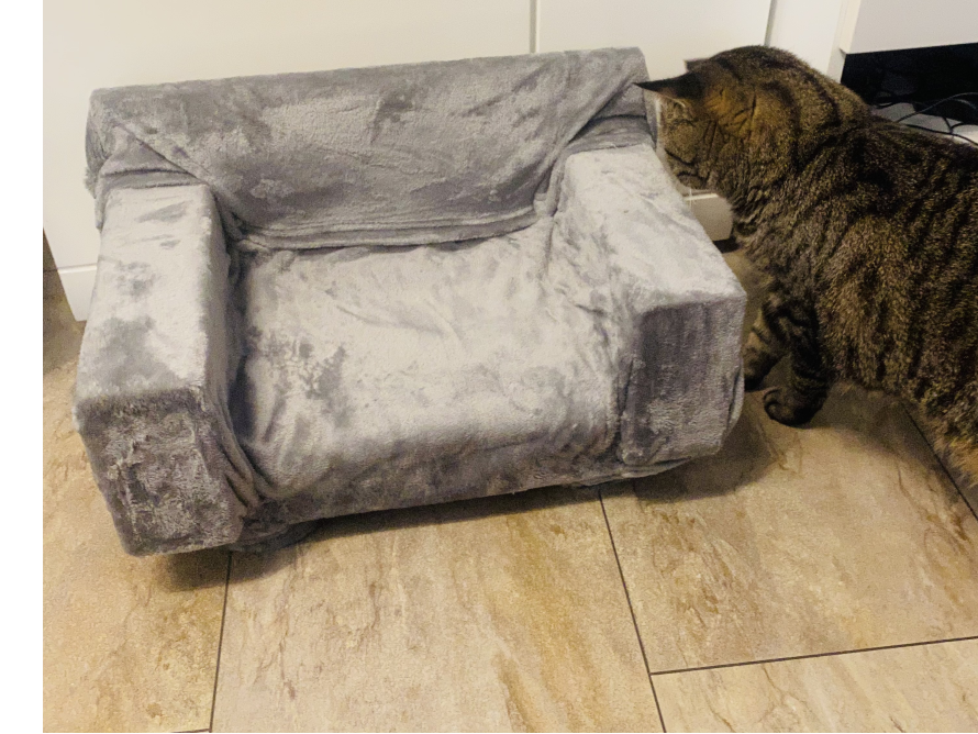 Graues Katzenbett mit Katze