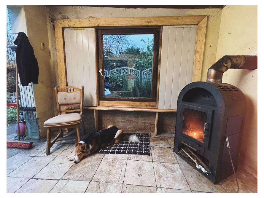 Hund schläft vor Ofen in Gartenlaube