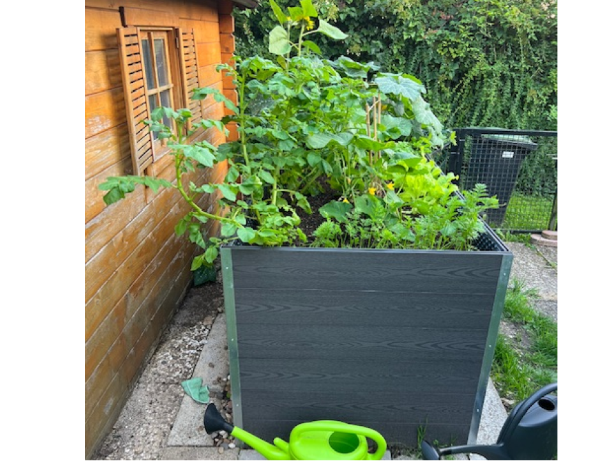 Hochbeet aus WPC Terrassendielen