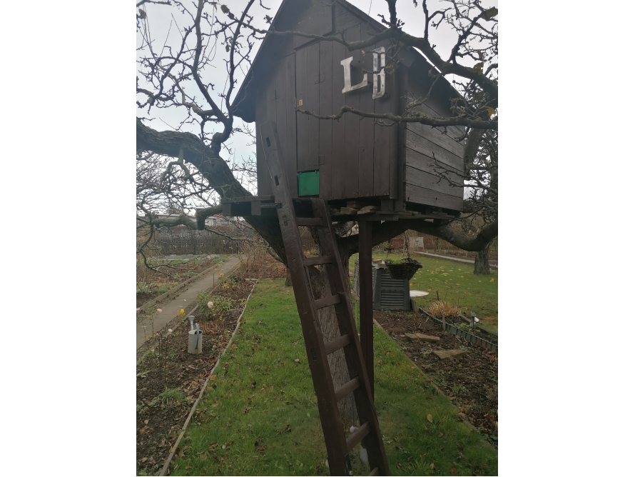 Baumhaus mit Leiter im Garten