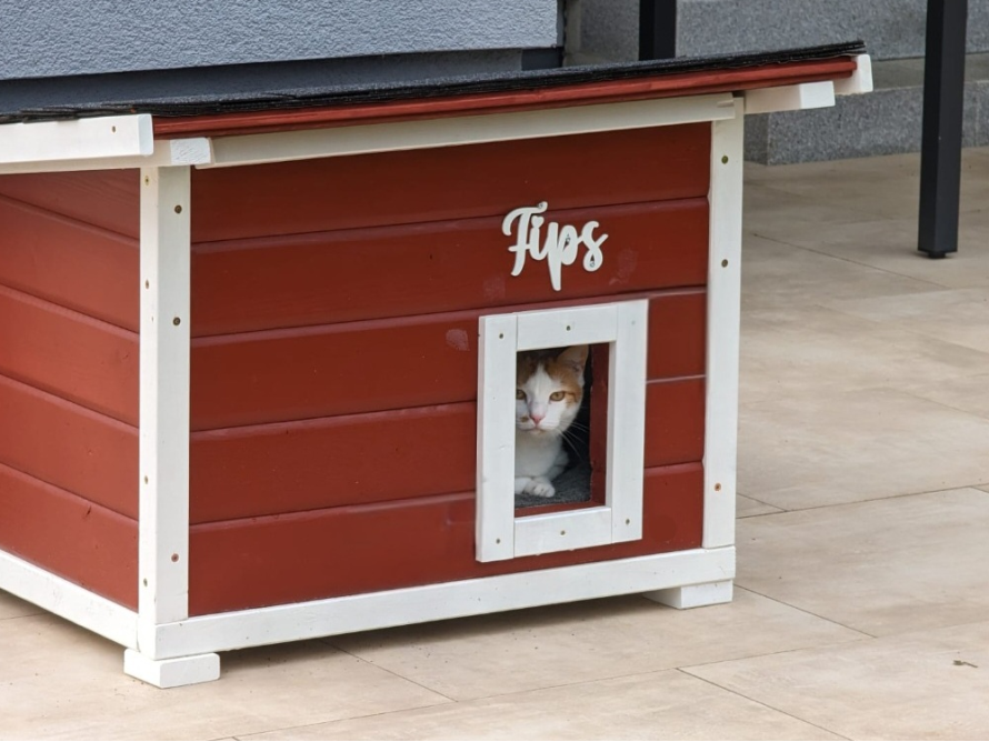 DIY-Katzenhaus