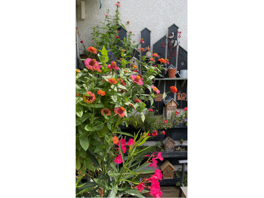 Blumen und Vogelhäuschen