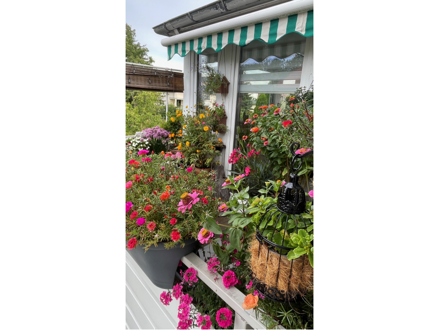 Blumen auf einem Balkon