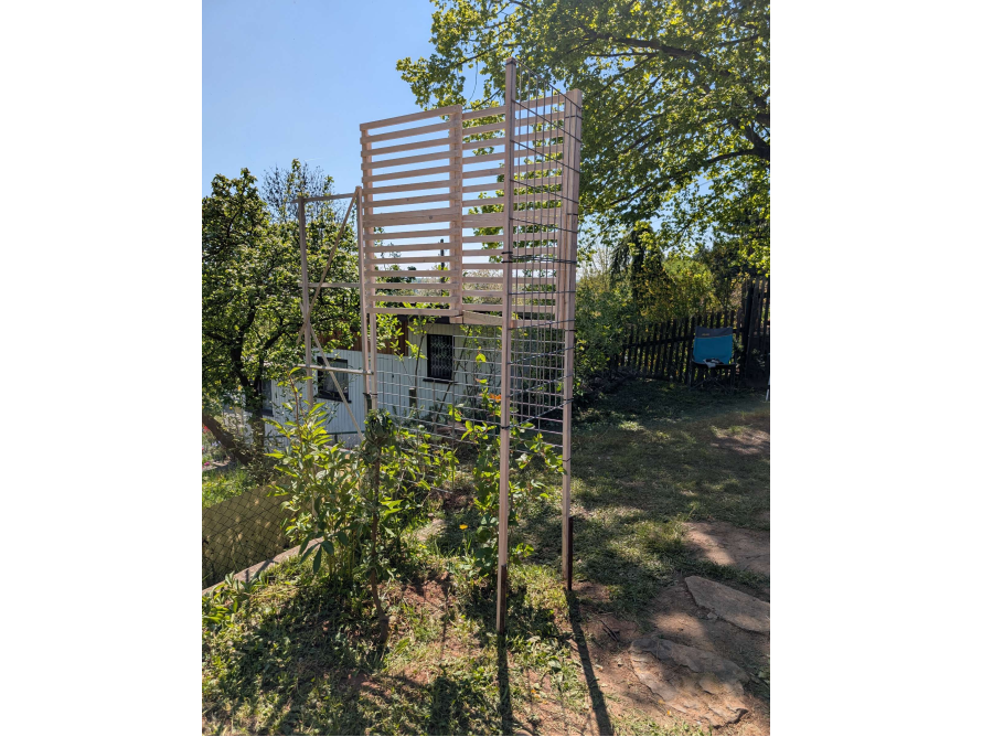 Holzrankgitter im Garten