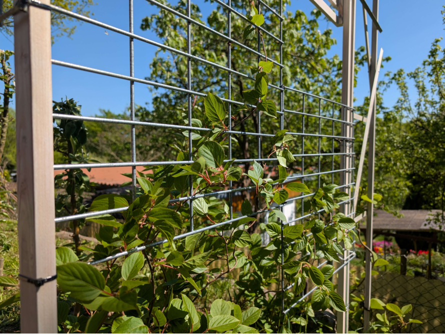 Rankhilfe aus Holz und Metall