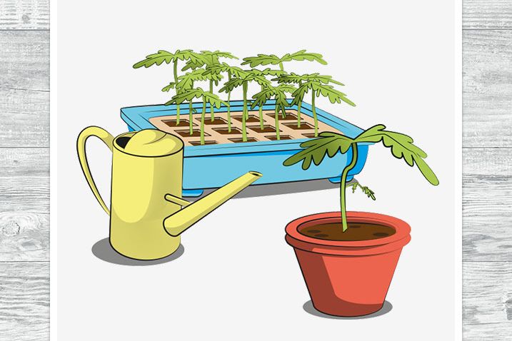 Animiertes Logo zum anpflanzen von Pflanzen