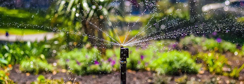 Gartensprinkler versorgt den Garten mit wasser