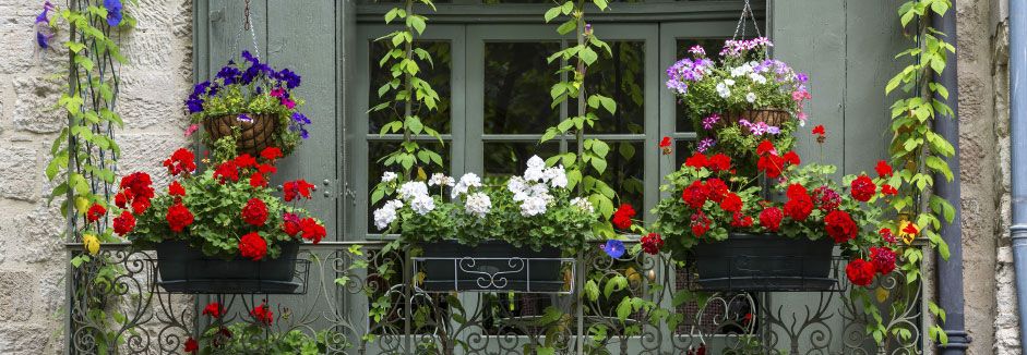 Verschiedene Blumen und Pflanzen auf einem Balkon