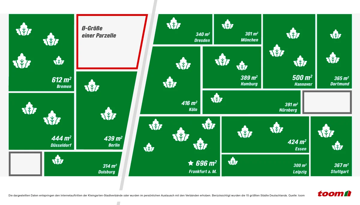 Infografik, die die durchschnittliche Größe von Kleingarten-Parzellen in deutschen Städten vergleicht.